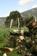 Image IPB