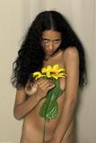 Yellow flower and lamp-y4fno9in1u.jpg