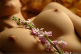 Ava-Bodyscape%3A-Petals-in-Spring-p0vw0q8mn1.jpg